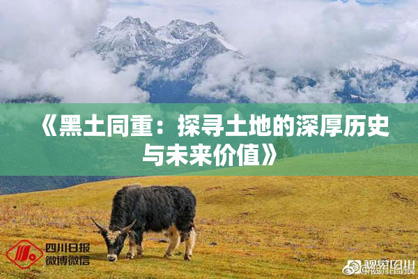 《黑土同重：探寻土地的深厚历史与未来价值》