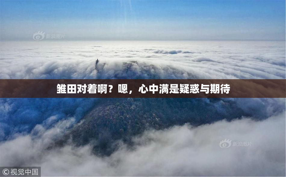 雏田对着啊？嗯，心中满是疑惑与期待