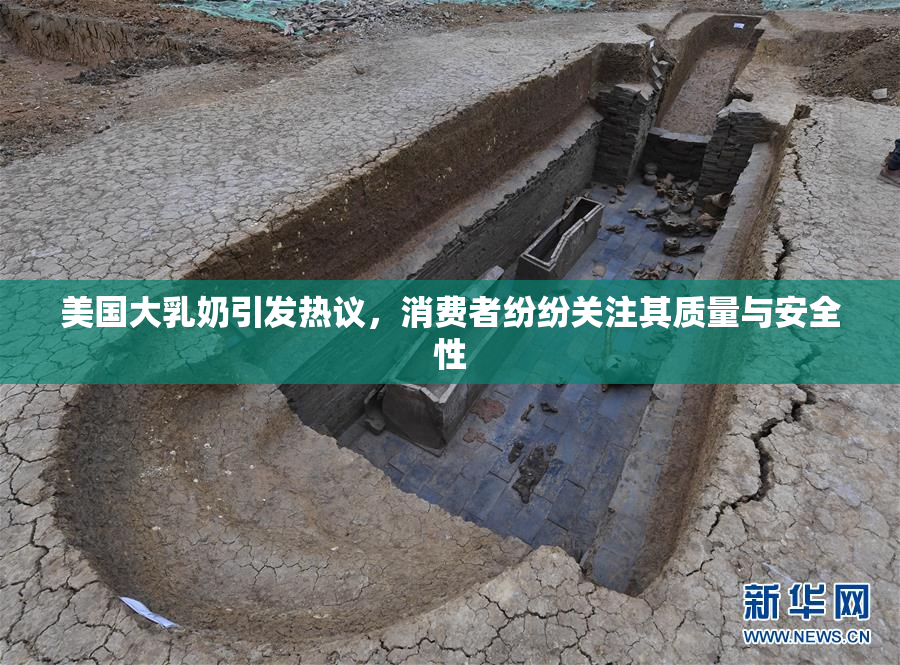美国大乳奶引发热议，消费者纷纷关注其质量与安全性