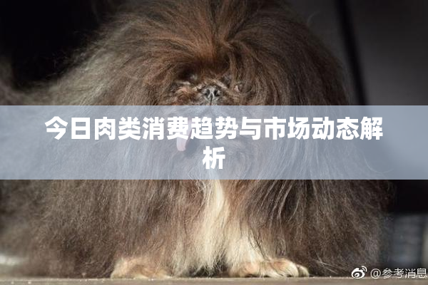 今日肉类消费趋势与市场动态解析
