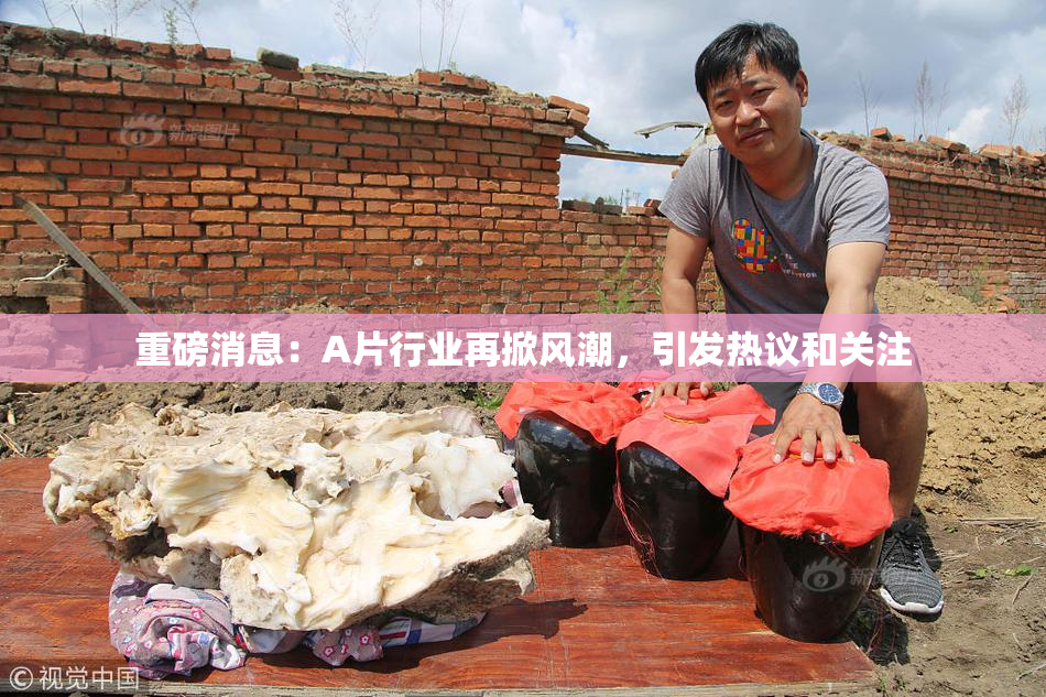 重磅消息：A片行业再掀风潮，引发热议和关注