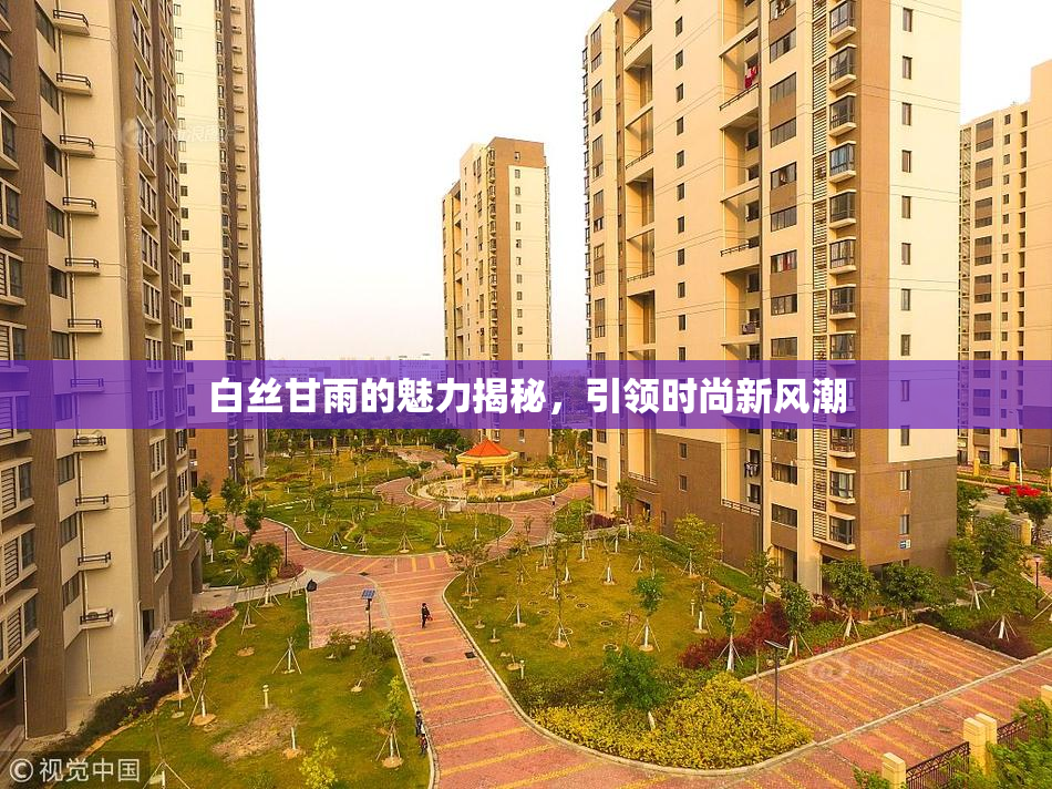 白丝甘雨的魅力揭秘，引领时尚新风潮