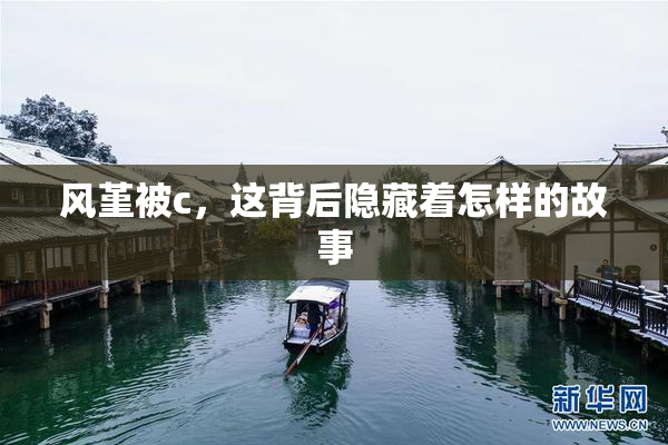 风堇被c，这背后隐藏着怎样的故事