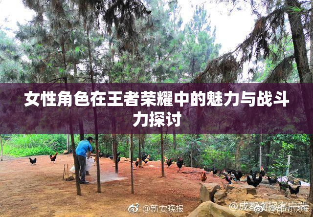 女性角色在王者荣耀中的魅力与战斗力探讨