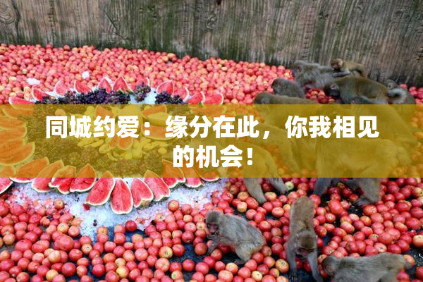 同城约爱：缘分在此，你我相见的机会！