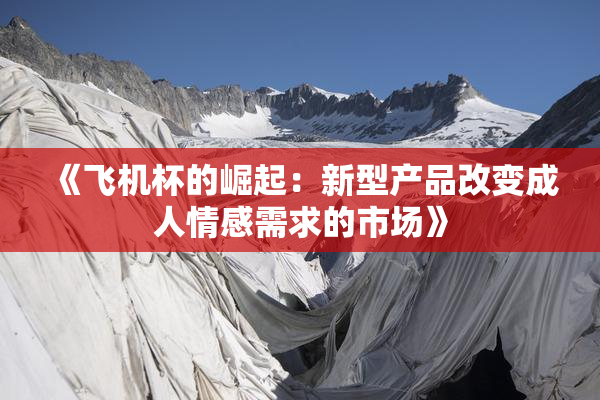 《飞机杯的崛起：新型产品改变成人情感需求的市场》