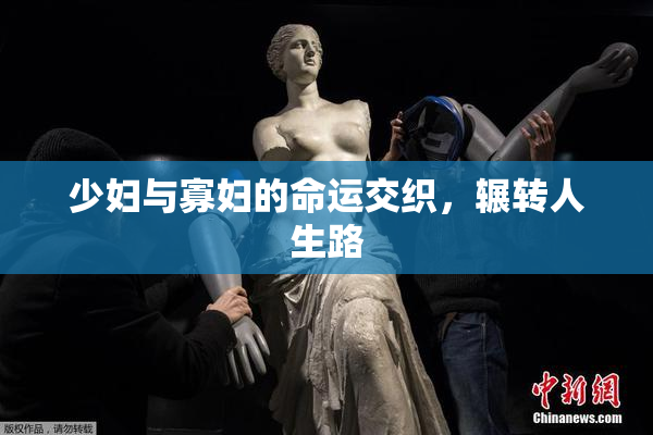 少妇与寡妇的命运交织，辗转人生路