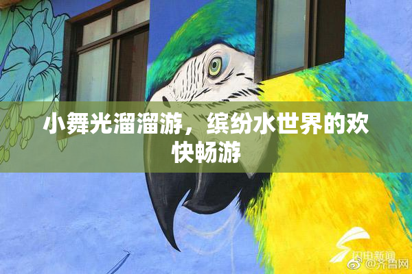 小舞光溜溜游，缤纷水世界的欢快畅游