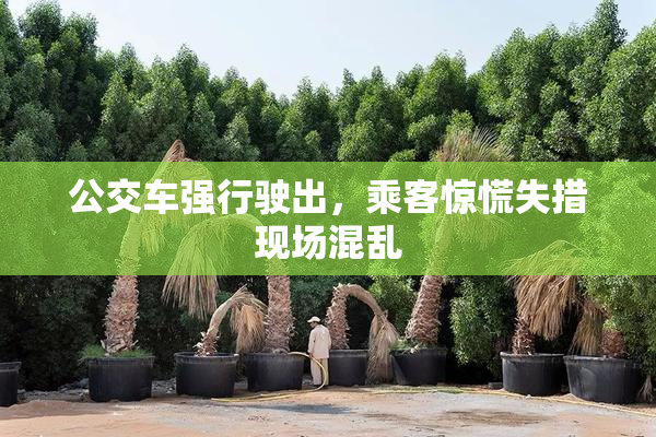 公交车强行驶出，乘客惊慌失措现场混乱