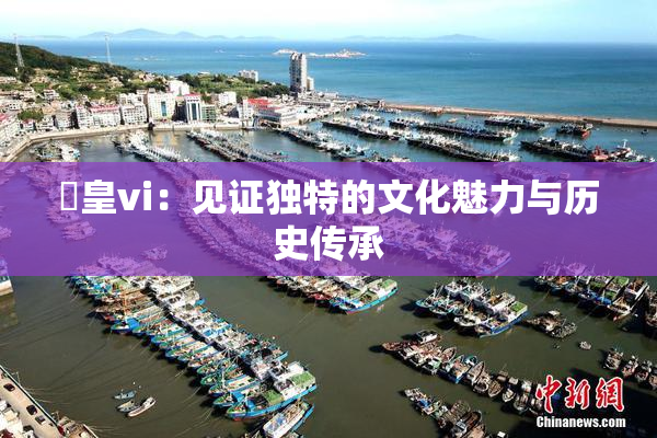 嘼皇vi：见证独特的文化魅力与历史传承