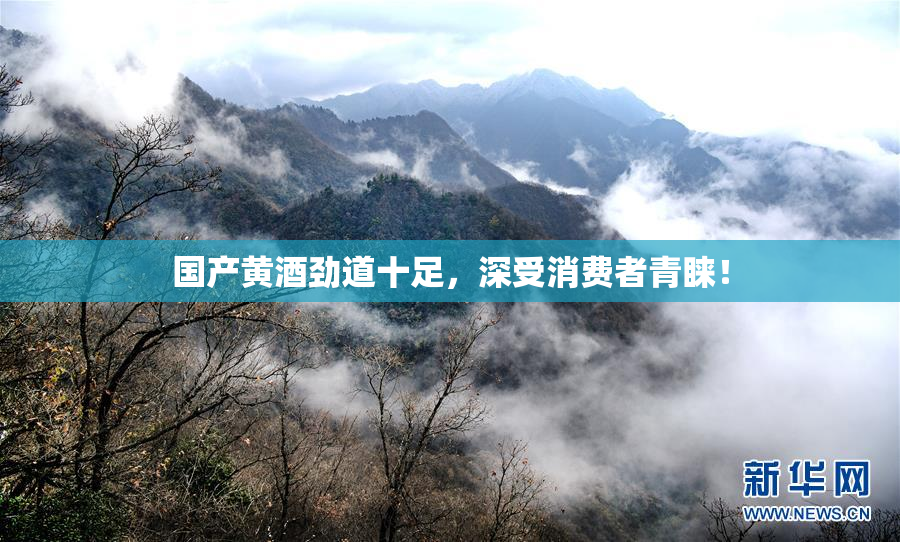 国产黄酒劲道十足，深受消费者青睐！