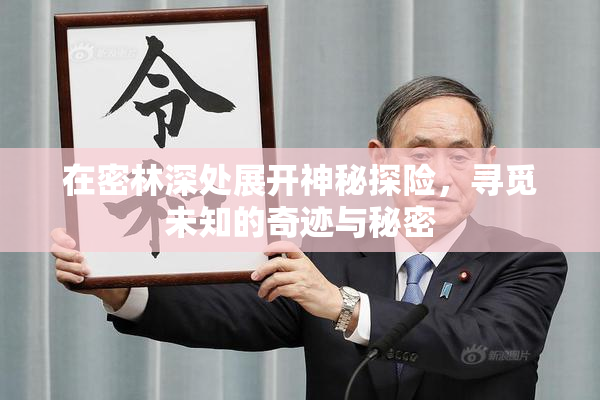 在密林深处展开神秘探险，寻觅未知的奇迹与秘密