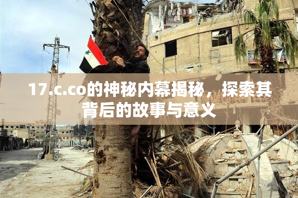 17.c.co的神秘内幕揭秘，探索其背后的故事与意义