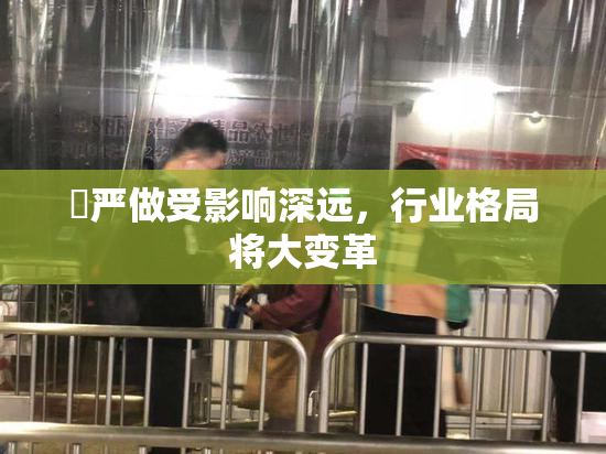 囯严做受影响深远，行业格局将大变革