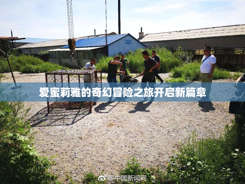 爱蜜莉雅的奇幻冒险之旅开启新篇章