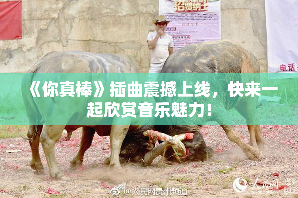 《你真棒》插曲震撼上线，快来一起欣赏音乐魅力！