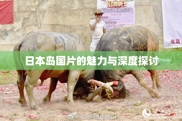 日本岛国片的魅力与深度探讨