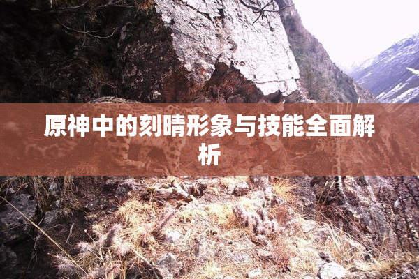 原神中的刻晴形象与技能全面解析