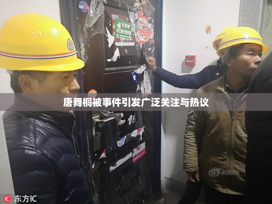 唐舞桐被事件引发广泛关注与热议