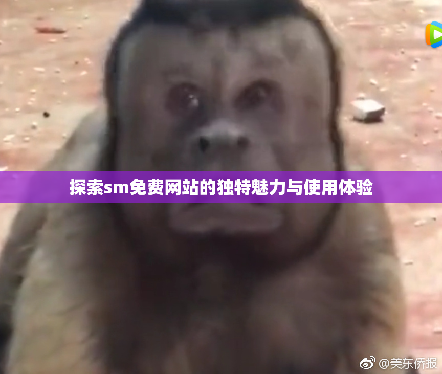 探索sm免费网站的独特魅力与使用体验