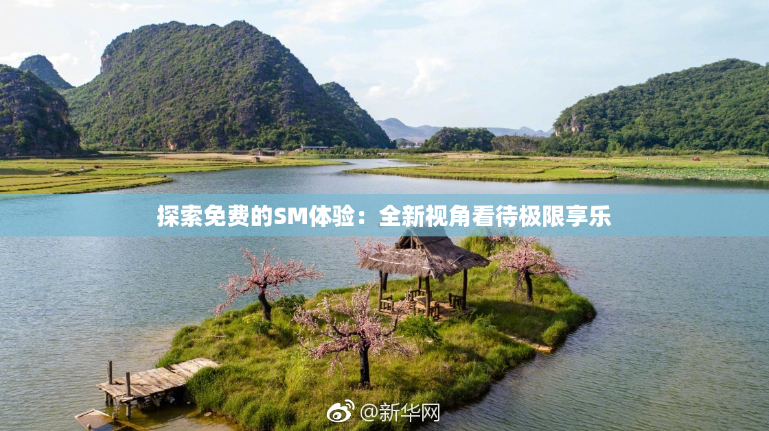 探索免费的SM体验：全新视角看待极限享乐