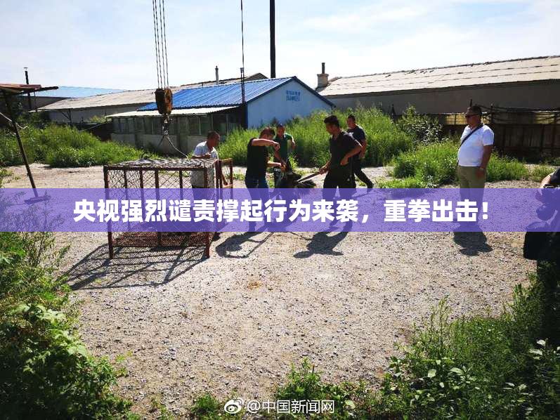 央视强烈谴责撑起行为来袭，重拳出击！