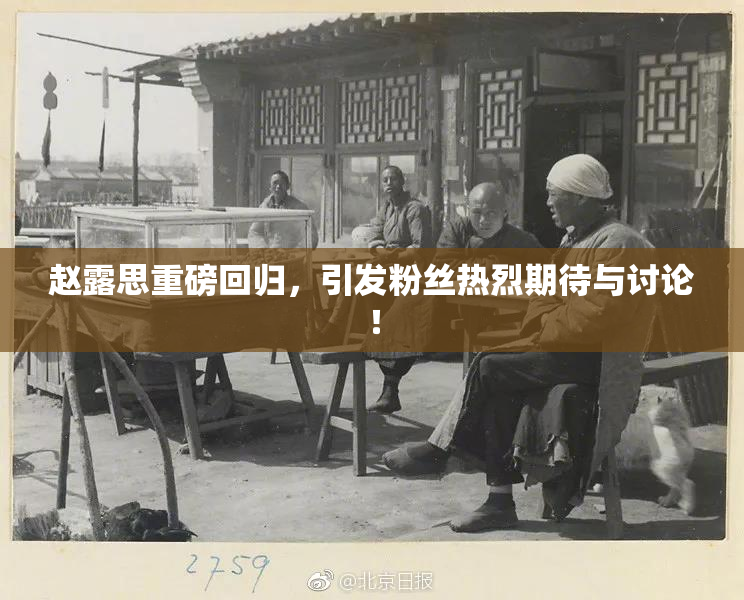 赵露思重磅回归，引发粉丝热烈期待与讨论！
