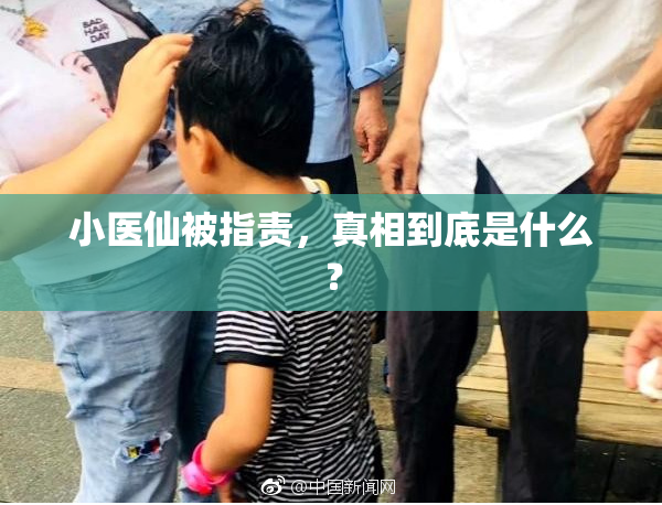 小医仙被指责，真相到底是什么？
