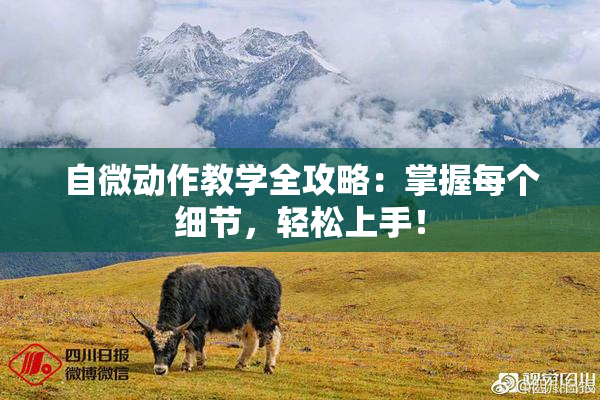 自微动作教学全攻略：掌握每个细节，轻松上手！