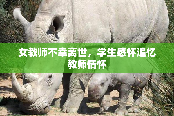 女教师不幸离世，学生感怀追忆教师情怀