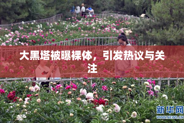 大黑塔被曝裸体，引发热议与关注
