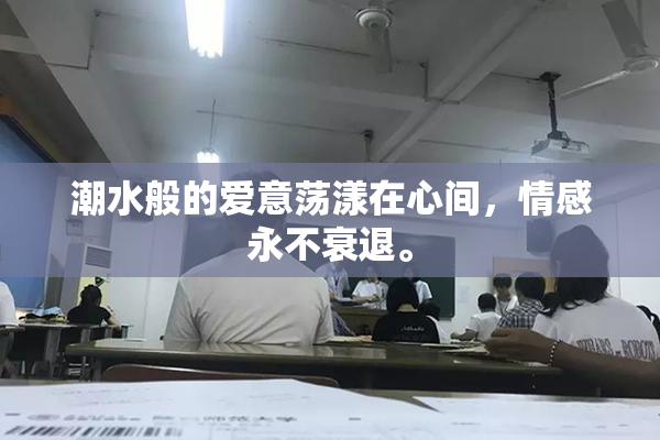 潮水般的爱意荡漾在心间，情感永不衰退。