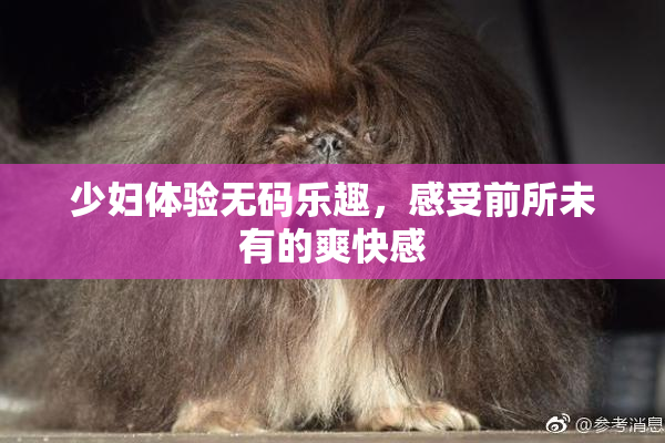 少妇体验无码乐趣，感受前所未有的爽快感