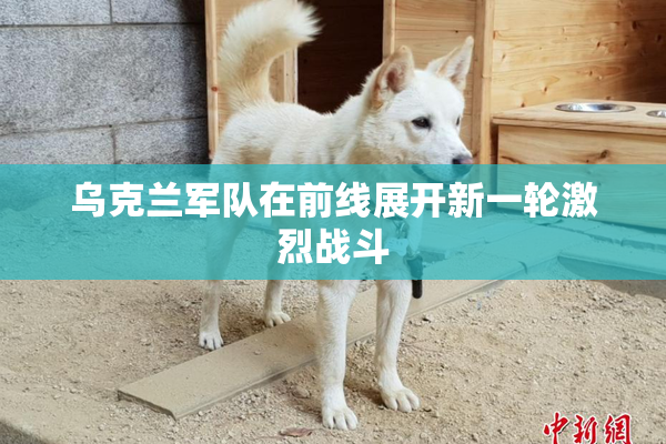 乌克兰军队在前线展开新一轮激烈战斗