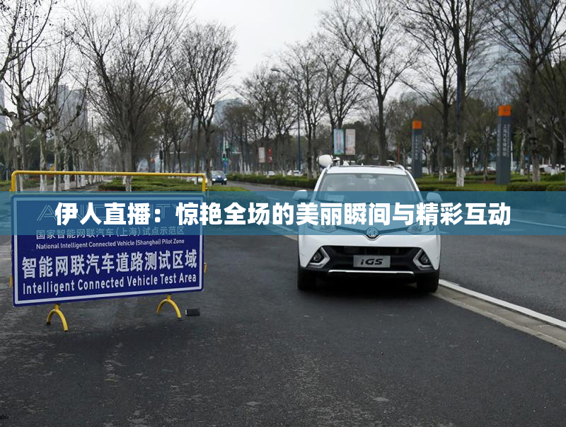 伊人直播：惊艳全场的美丽瞬间与精彩互动