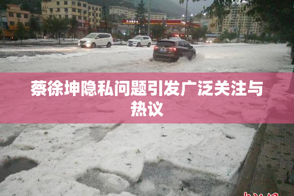 蔡徐坤隐私问题引发广泛关注与热议