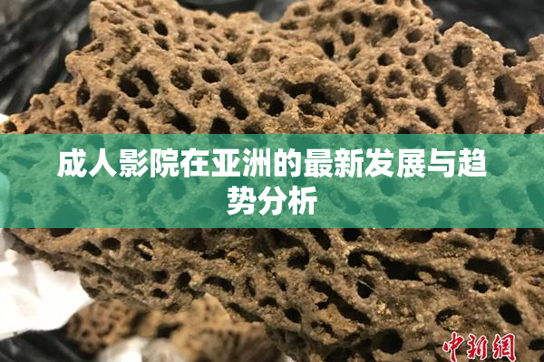 成人影院在亚洲的最新发展与趋势分析