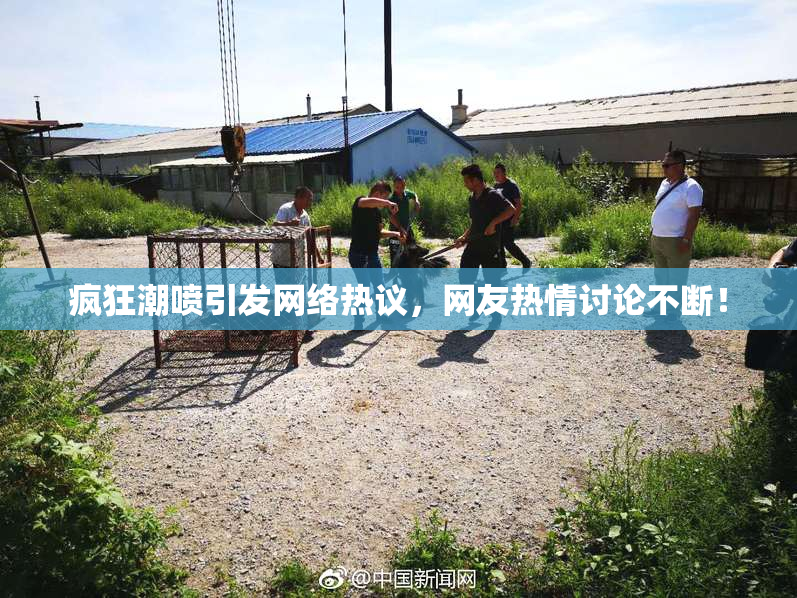 疯狂潮喷引发网络热议，网友热情讨论不断！