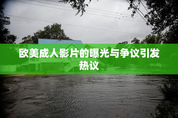 欧美成人影片的曝光与争议引发热议
