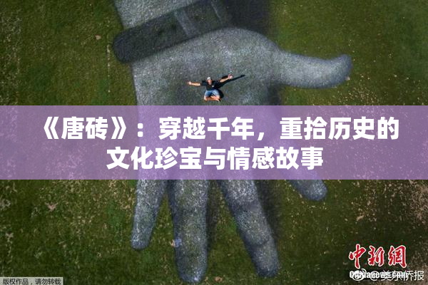 《唐砖》：穿越千年，重拾历史的文化珍宝与情感故事