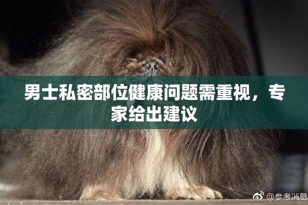 男士私密部位健康问题需重视，专家给出建议