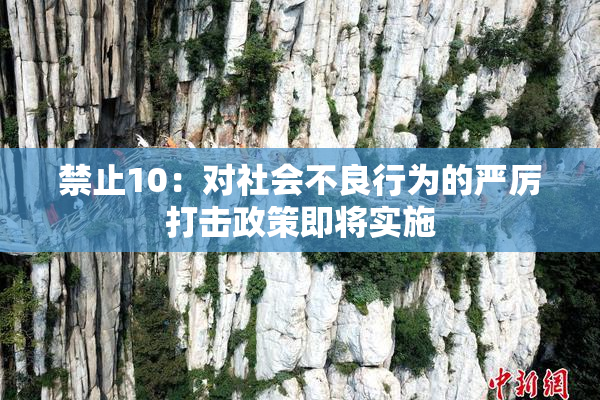 禁止10：对社会不良行为的严厉打击政策即将实施