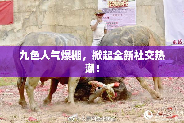 九色人气爆棚，掀起全新社交热潮！