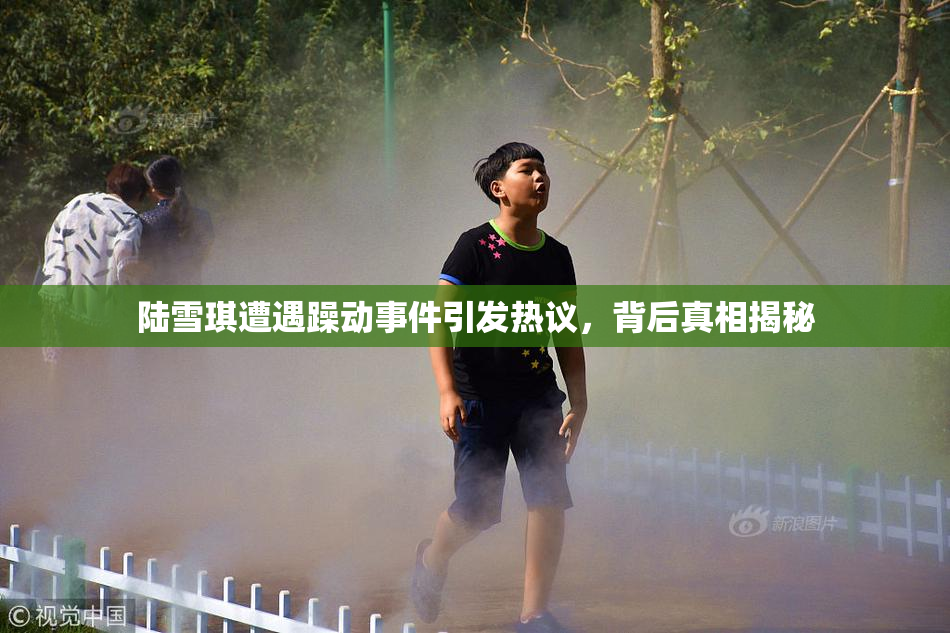 陆雪琪遭遇躁动事件引发热议，背后真相揭秘
