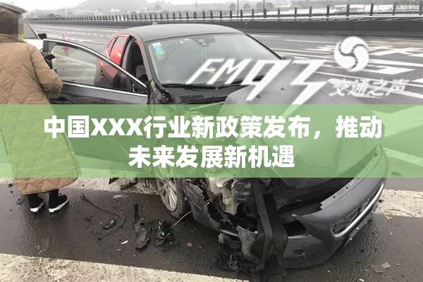 中国XXX行业新政策发布，推动未来发展新机遇