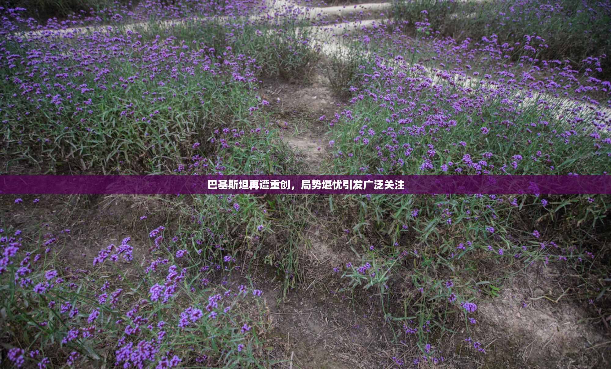 巴基斯坦再遭重创，局势堪忧引发广泛关注