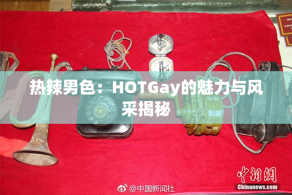 热辣男色：HOTGay的魅力与风采揭秘