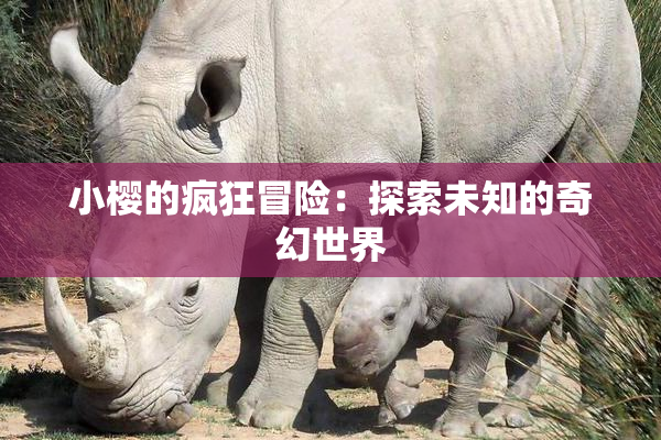小樱的疯狂冒险：探索未知的奇幻世界