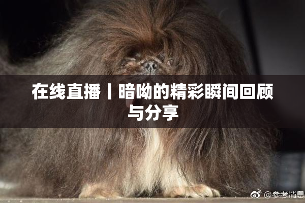 在线直播丨暗呦的精彩瞬间回顾与分享