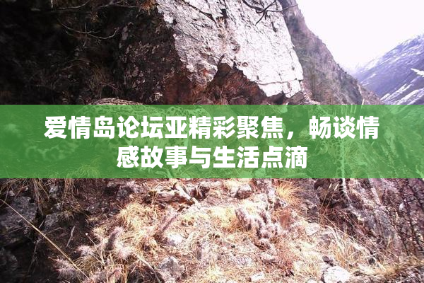 爱情岛论坛亚精彩聚焦，畅谈情感故事与生活点滴